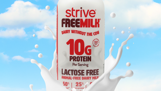 Sustainable nutrition company, Strive, leverages Black & Veatch mentoring