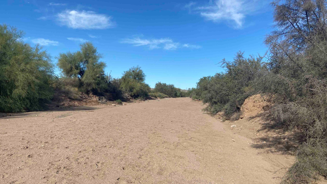 Nature-based project addresses city’s top public works priority, winning record FEMA grant
