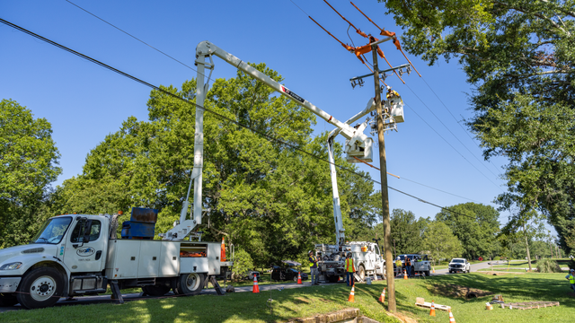 Georgia power grid investment plan