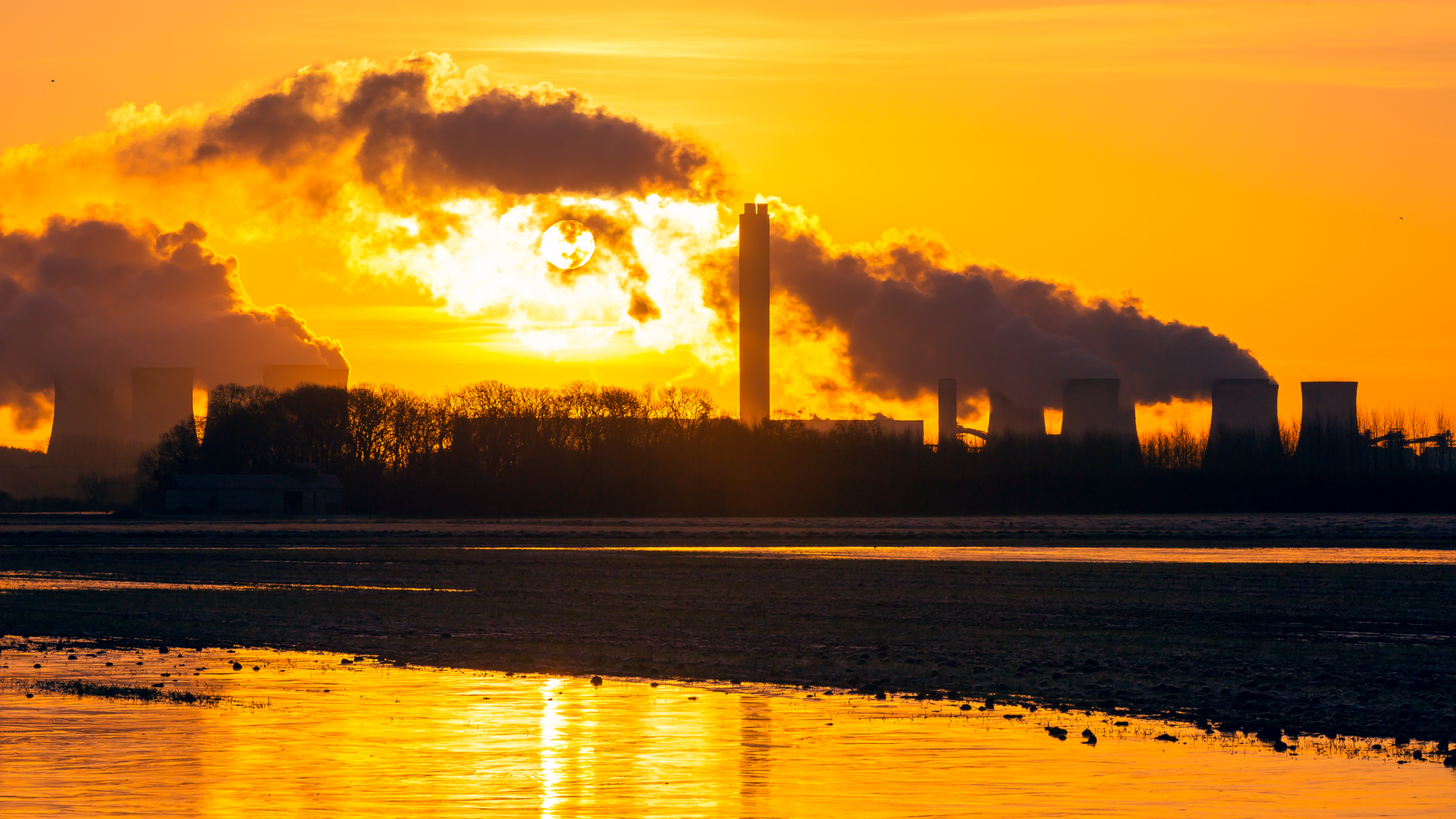 Carbon Capture, Utilization and Storage
