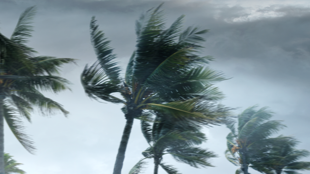 Storm readiness: the need to be proactive, and proactively reactive