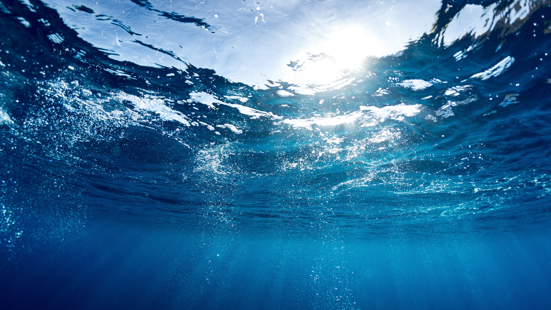 Effluent Water Selenium Treatment